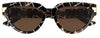 #colour_havana-brown
