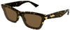 #colour_tortoise-brown