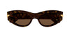 #colour_havana-brown