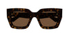 #colour_havana-brown