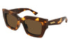 #colour_shiny-havana-brown