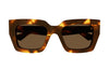 #colour_shiny-havana-brown