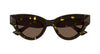 Bottega Venata 1249S Havana-Brown #colour_havana-brown