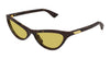 #colour_havana-brown