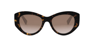 #colour_shiny-dark-havana-brown-gradient