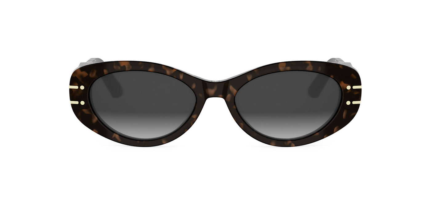 #colour_shiny-havana