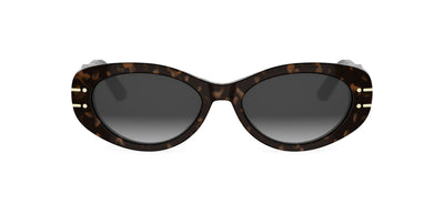 #colour_shiny-havana