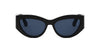 #colour_shiny-black