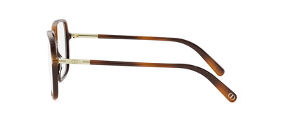 #colour_light-tortoise