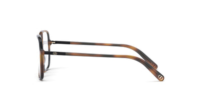 #colour_shiny-havana