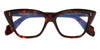 #colour_dark-tortoise