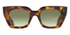 #colour_old-brown-havana-green-gradient