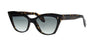 #colour_black-on-havana-blue-gradient