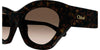 #colour_havana-brown-gradient