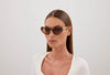 Chloe CH0350S #colour_havana-brown-gradient