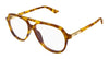 Chloe CH0366O #colour_havana