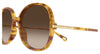 Chloe CH0383S #colour_havana-brown-gradient
