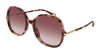 Chloe CH0383S #colour_havana-red-gradient