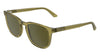 #colour_transparent-honey-green