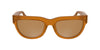 #colour_brown-to-havana-brown