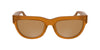 #colour_brown-to-havana-brown