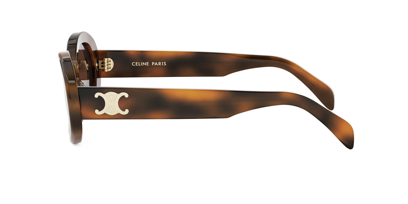 #colour_shiny-havana-brown