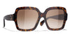 CHANEL 5479 Dark Tortoise/Brown #colour_dark-tortoise-brown