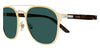 Cartier Decor CT0012S#colour_gold-with-havana-green