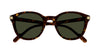 #colour_dark-havana-and-gold-green-with-light-mirror