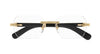 #colour_shiny-gold-with-black-buffalo-horn