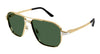 #colour_gold-polarised-green