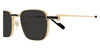 Cartier CT0497S#colour_gold-grey
