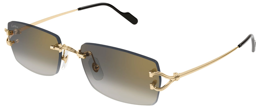 Cartier CT0550S