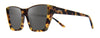 #colour_tortoise-graphite-polarised