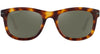 #colour_classic-tortoise-mineral-silver-polarised
