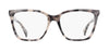#colour_black-white-tortoise