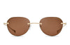#colour_gold-sand-land-brown-polarised