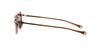 #colour_gold-sand-polarised-land-brown