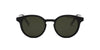 #colour_shiny-black