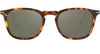 #colour_classic-tortoise-mineral-silver-polarised