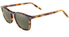 #colour_classic-tortoise-mineral-silver-polarised