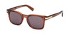 #colour_shiny-dark-brown-smoke