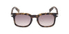 #colour_coloured-havana-brown