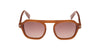 #colour_shiny-light-brown-brown-gradient