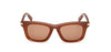 #colour_shiny-light-brown-brown