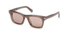 #colour_shiny-dark-brown-brown