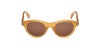 #colour_shiny-light-brown-brown
