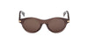 #colour_shiny-dark-brown-brown