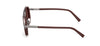 #colour_shiny-light-brown-brown