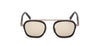 #colour_shiny-dark-brown-brown